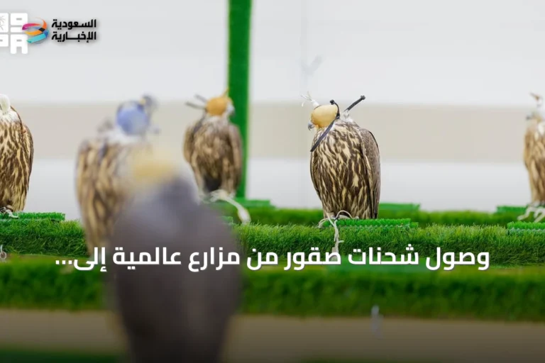 وصول شحنات صقور من مزارع عالمية إلى الرياض للمشاركة في المزاد الدولي 2026