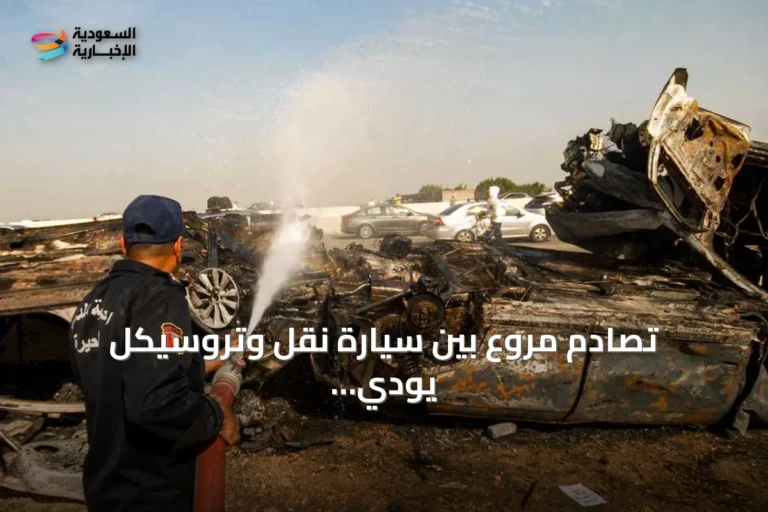 تصادم مروع بين سيارة نقل وتروسيكل يودي بحياة عمال مزارع عنب في المنيا