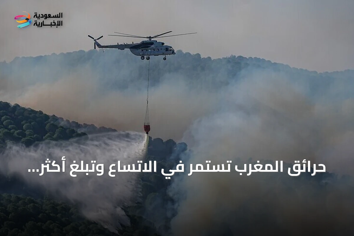 حرائق المغرب تستمر في الاتساع وتبلغ أكثر من 4100 هكتار منذ بداية 2026