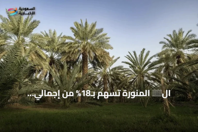 الเมือง المنورة تسهم بـ18% من إجمالي إنتاج التمور في المملكة