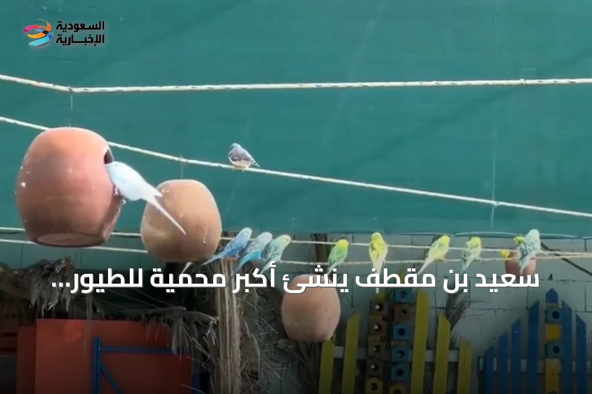 سعيد بن مقطف يُنشئ أكبر محمية للطيور النادرة في عسير تضم عشرين نوعًا