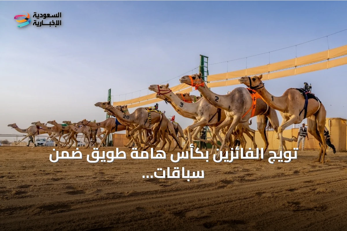 تويج الفائزين بكأس هامة طويق ضمن سباقات موسم الطائف 2026 وجوائز تجاوزت 1.54 مليون ريال