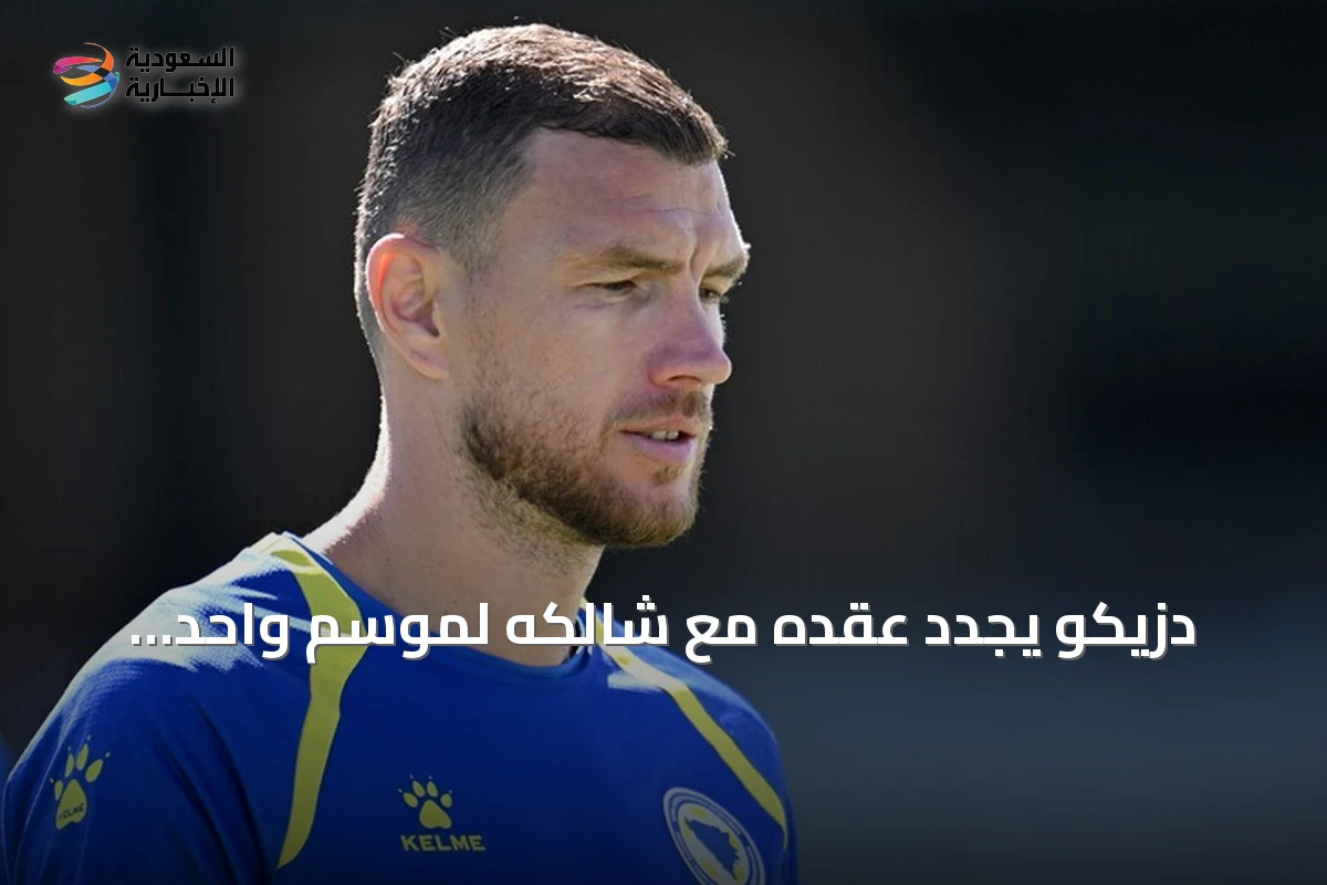 دزيكو يجدد عقده مع شالكه لموسم واحد ويستعد لعودة Bundesliga