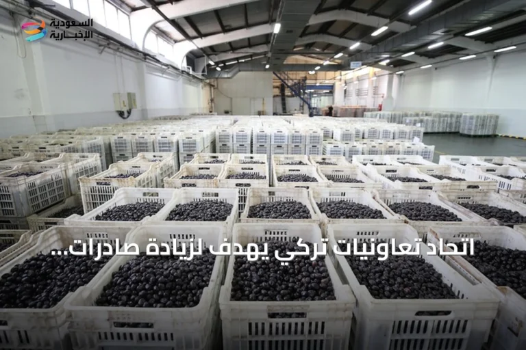 اتحاد تعاونيات تركي يهدف لزيادة صادرات الزيتون إلى الشرق الأوسط