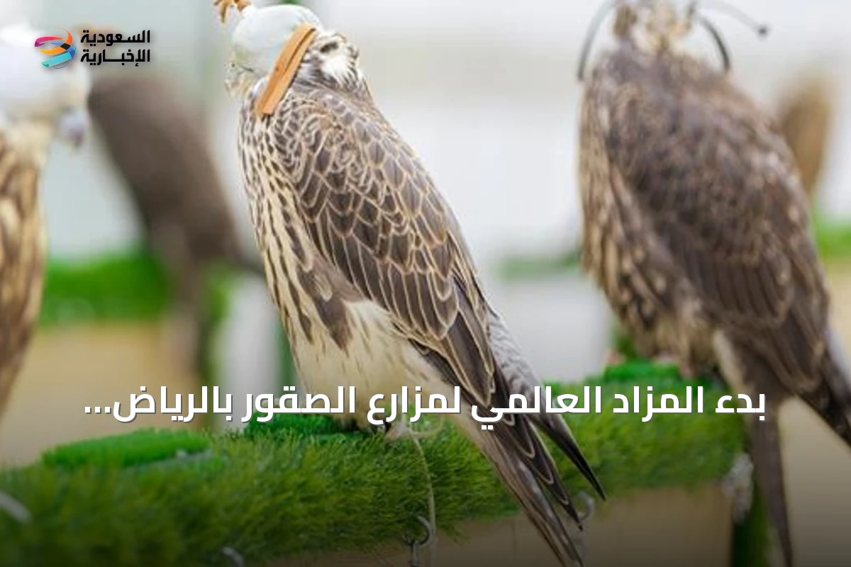 بدء المزاد العالمي لمزارع الصقور بالرياض بحضور محلي ودولي