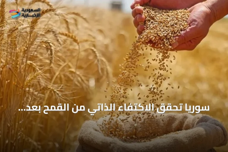 سوريا تحقق الاكتفاء الذاتي من القمح بعد تجاوز الإنتاج الحاجة السنوية