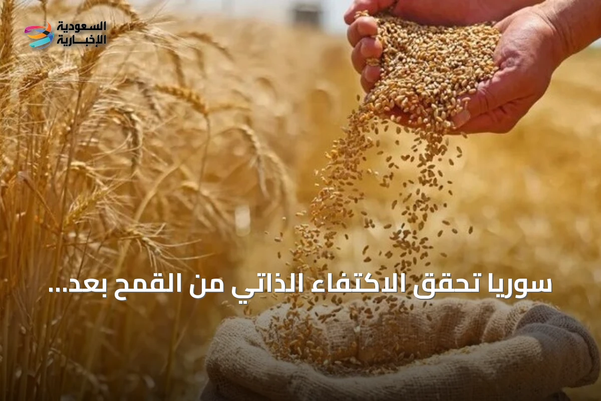 سوريا تحقق الاكتفاء الذاتي من القمح بعد تجاوز الإنتاج الحاجة السنوية