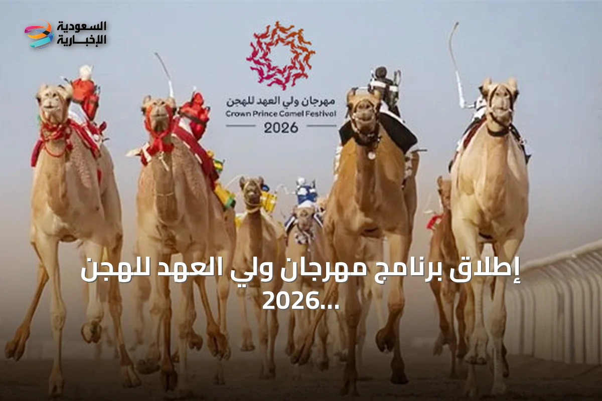 إطلاق برنامج مهرجان ولي العهد للهجن 2026 بجوائز ضخمة و248 شوطاً في الطائف