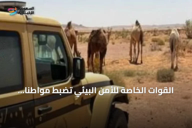 القوات الخاصة للأمن البيئي تضبط مواطناً لرعيه 30 من الإبل في محمية الملك عبدالعزيز