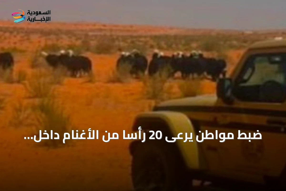 ضبط مواطن يرعى 20 رأسًا من الأغنام داخل محمية الإمام تركي بن Abdullah