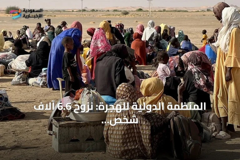 المنظمة الدولية للهجرة: نزوح 6.6 آلاف شخص من 11 قرية في غرب دارفور جراء الاشتباكات
