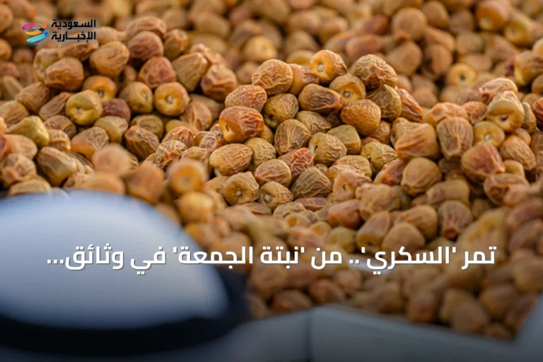 تمر 'السكري'.. من 'نبتة الجمعة' في وثائق القرن 13 هجري إلى اقتصاد المليارات