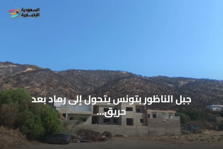 جبل الناظور بتونس يتحول إلى رماد بعد حريق التهم عشرات الهكتارات