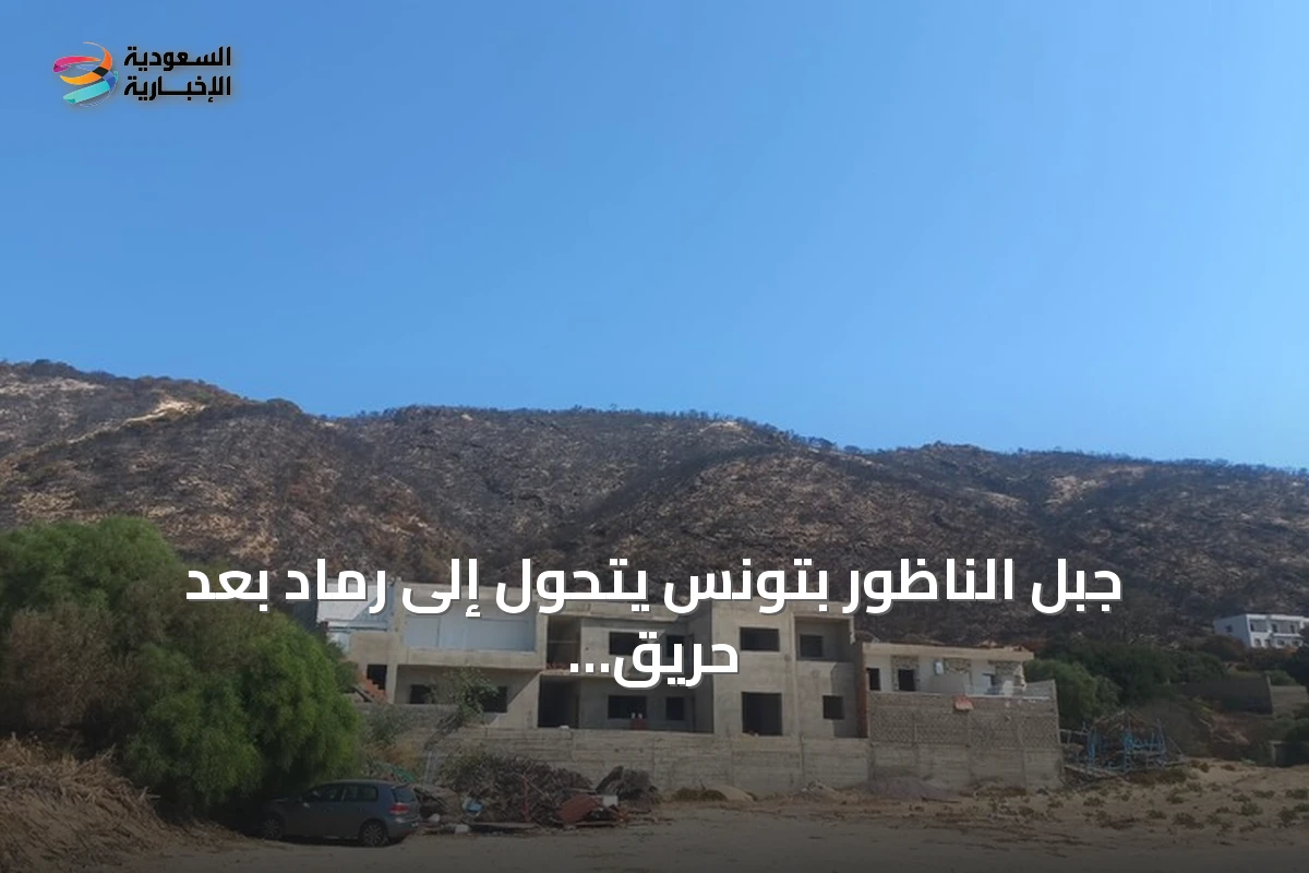 جبل الناظور بتونس يتحول إلى رماد بعد حريق التهم عشرات الهكتارات