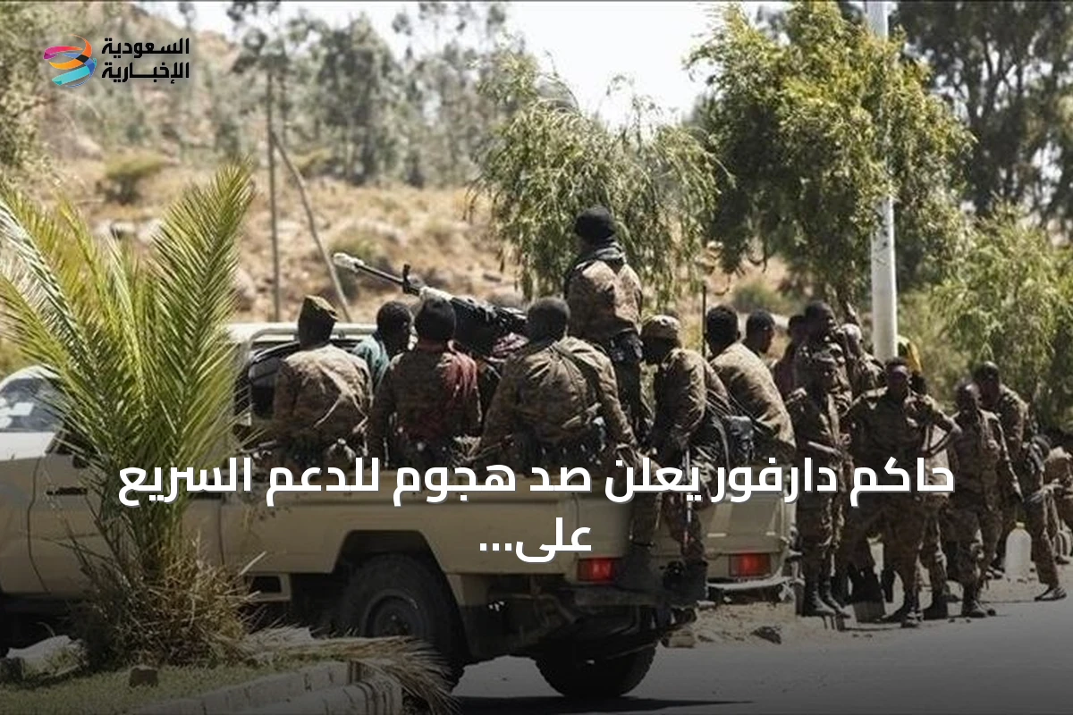 حاكم دارفور يعلن صد هجوم للدعم السريع على بئر سليبة في غرب الإقليم