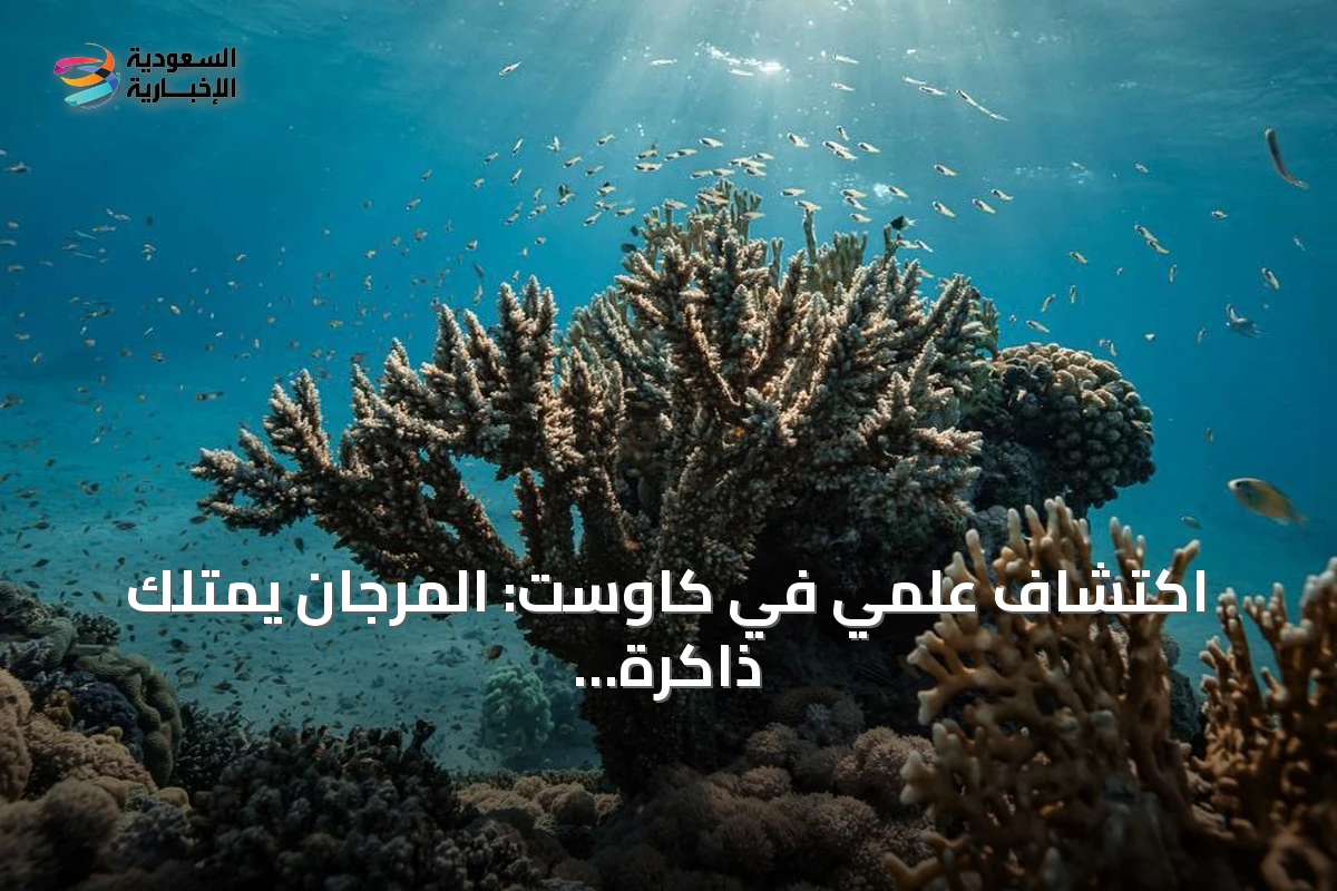 اكتشاف علمي في كاوست: المرجان يمتلك ذاكرة مناعية لمواجهة الأمراض