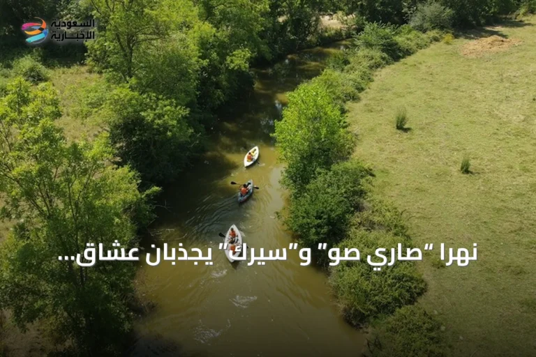 نهرا “صاري صو” و”سيرك” يجذبان عشاق التجديف في قوجا إيلي التركية