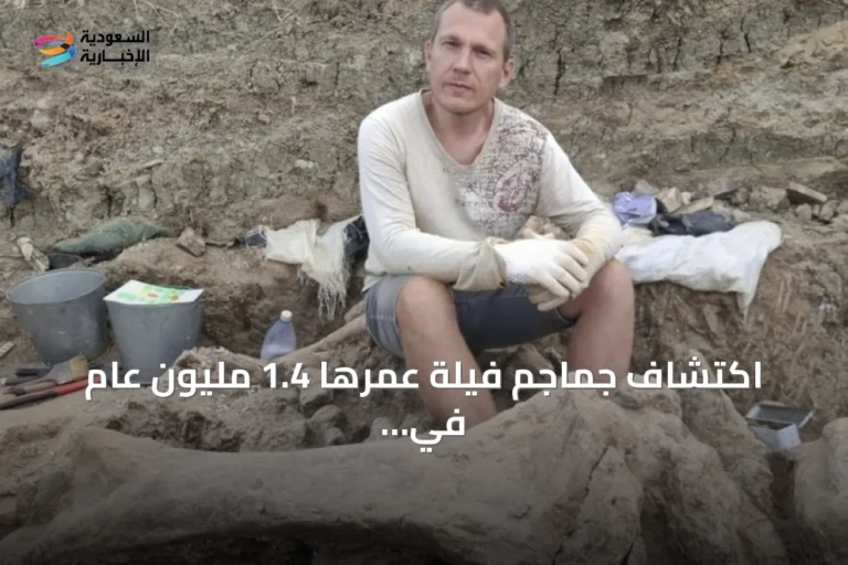 اكتشاف جماجم فيلة عمرها 1.4 مليون عام في موقع بحري روسي