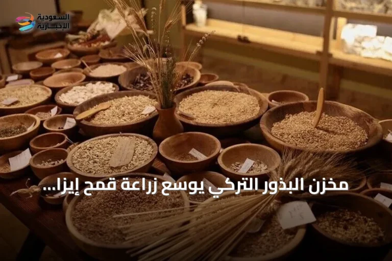 مخزن البذور التركي يوسع زراعة قمح إيزا التاريخي الذي يعود لـ12 ألف عام