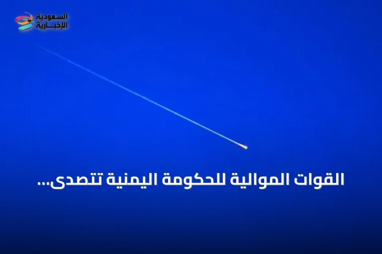 القوات الموالية للحكومة اليمنية تتصدى لمسيرات معادية قرب منشآت حيوية في عدن
