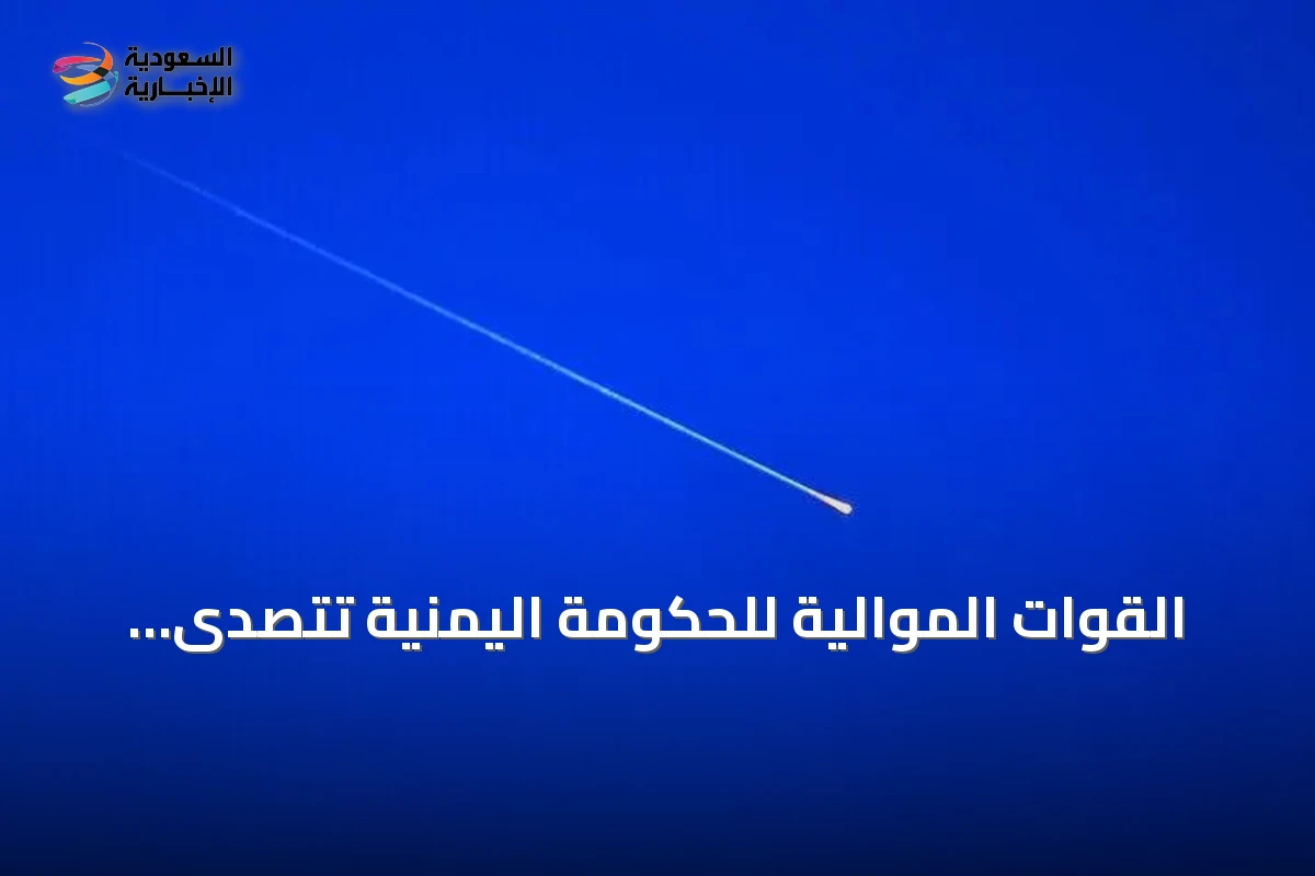 القوات الموالية للحكومة اليمنية تتصدى لمسيرات معادية قرب منشآت حيوية في عدن