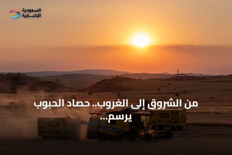 من الشروق إلى الغروب.. حصاد الحبوب يرسم لوحة ذهبية بحقول يوزغات التركية