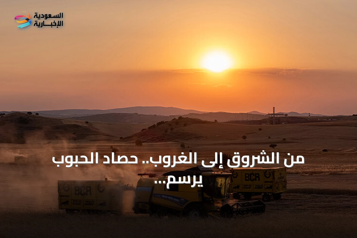 من الشروق إلى الغروب.. حصاد الحبوب يرسم لوحة ذهبية بحقول يوزغات التركية
