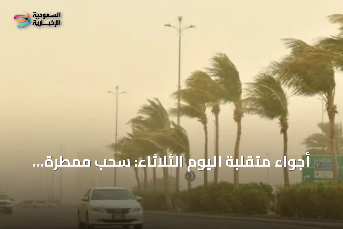 أجواء متقلبة اليوم الثلاثاء: سحب ممطرة ورياح مثيرة للغبار وارتداد حراري في عدة مناطق سعودية