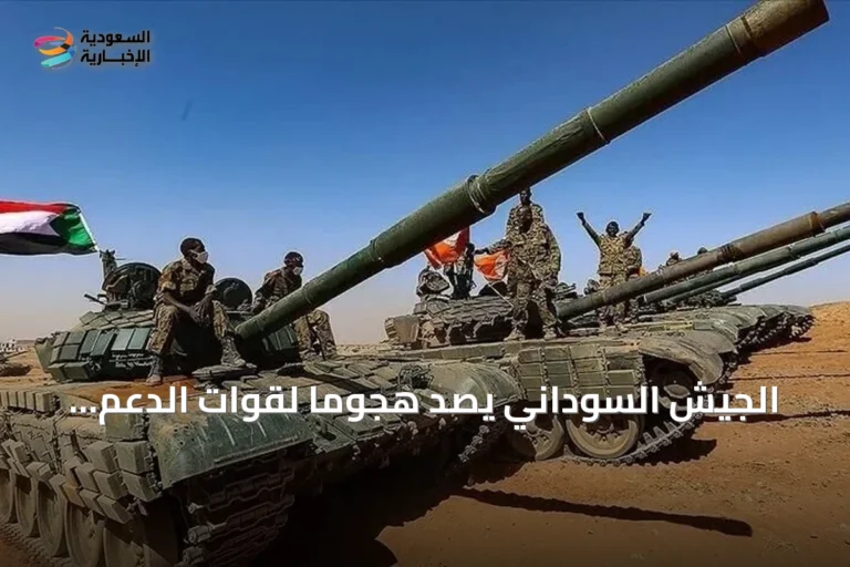 الجيش السوداني يصد هجوماً لقوات الدعم السريع وحلفائها على مدينة قيسان بولاية النيل الأزرق