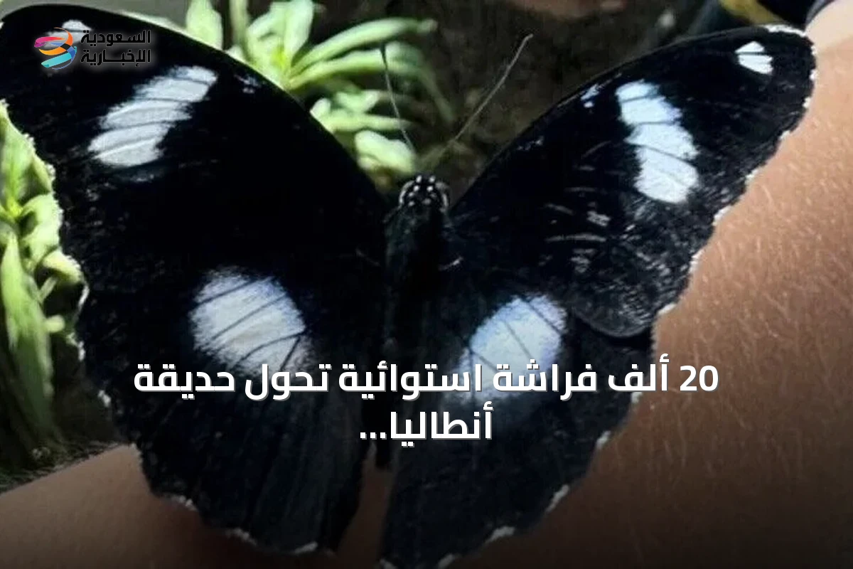 20 ألف فراشة استوائية تُحول حديقة أنطاليا إلى جنة سياحية نابضة بالحياة