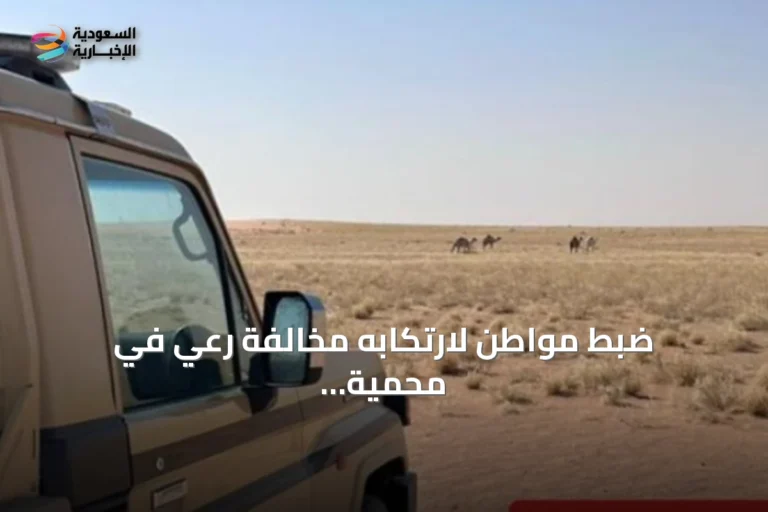 ضبط مواطن لارتكابه مخالفة رعي في محمية الملك عبدالعزيز الملكية