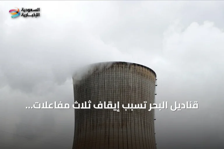 قناديل البحر تسبب إيقاف ثلاث مفاعلات نووية في محطة غرافلين الفرنسية