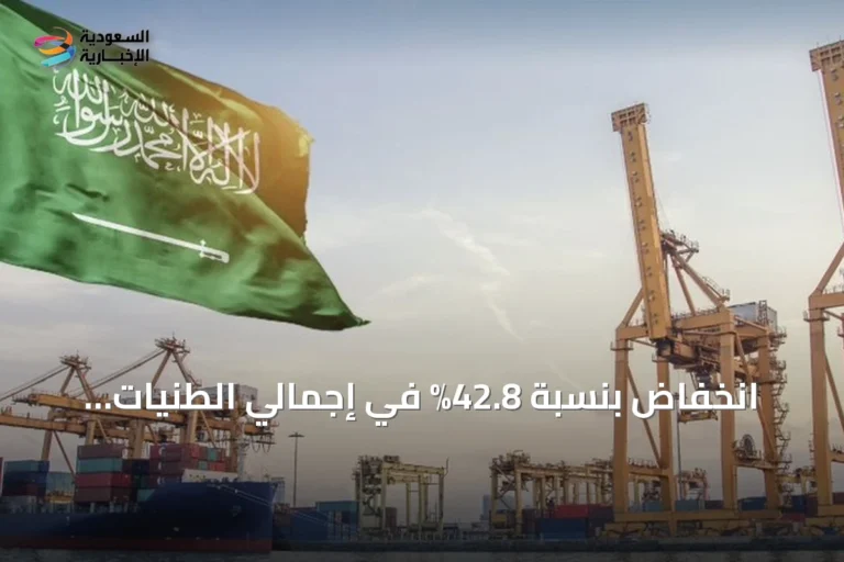 انخفاض بنسبة 42.8% في إجمالي الطنيات المناولة بموانئ المملكة خلال يوليو 2026