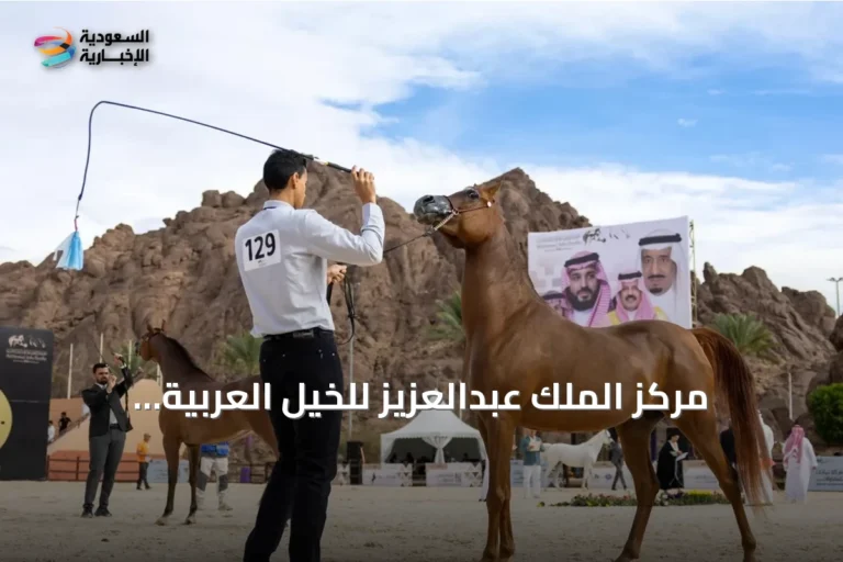 مركز الملك عبدالعزيز للخيل العربية الأصيلة يرفع تصنيف بطولة حائل إلى الفئة (B) لعام 2026