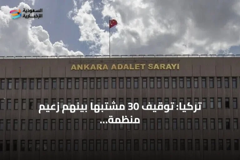 تركيا: توقيف 30 مشتبهاً بينهم زعيم منظمة إجرامية في عملية موسعة