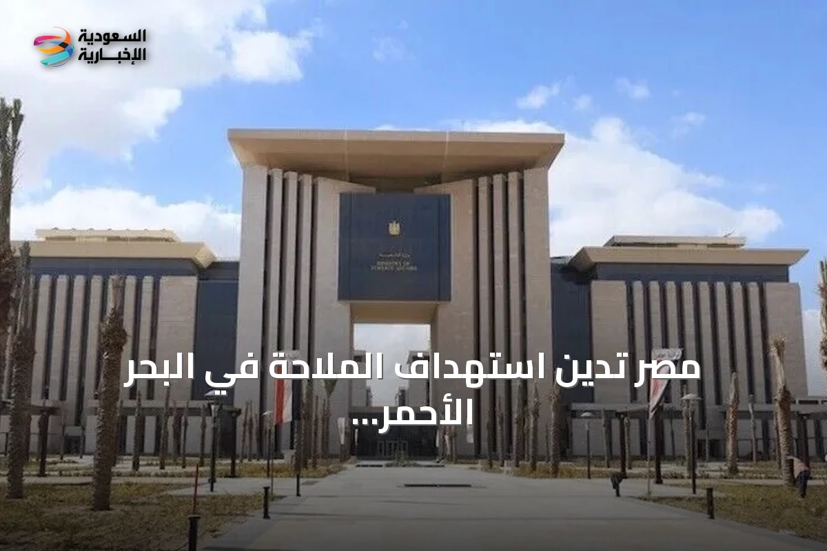 مصر تدين استهداف الملاحة في البحر الأحمر وتنفي تسجيل السفينة المستهدفة لديها