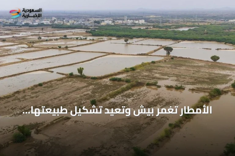 الأمطار تغمر بيش وتعيد تشكيل طبيعتها الخضراء كوجهة سياحية