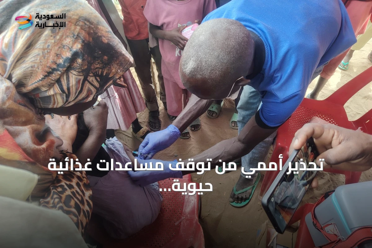 تحذير أممي من توقف مساعدات غذائية حيوية للاجئين في جنوب السودان