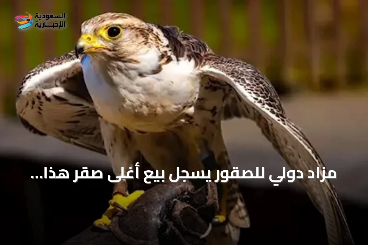 مزاد دولي للصقور يسجل بيع أغلى صقر هذا العام بـ1.3 مليون ريال