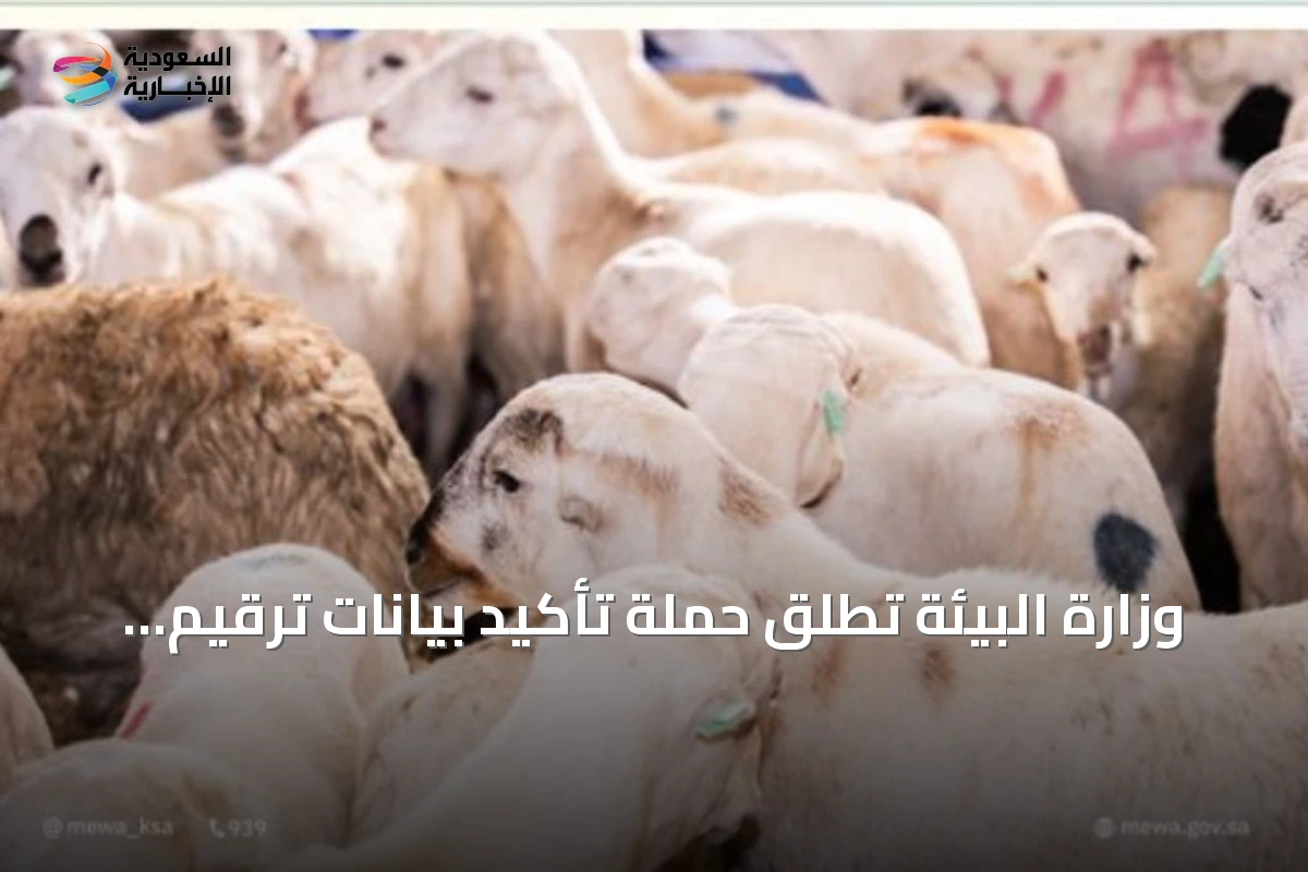 وزارة البيئة تطلق حملة تأكيد بيانات ترقيم الثروة الحيوانية