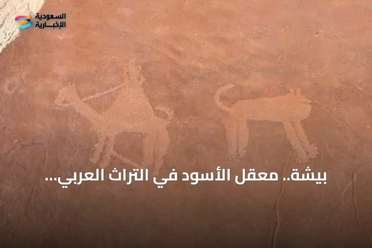 بيشة.. معقل الأسود في التراث العربي الشعري والنقوش الصخرية