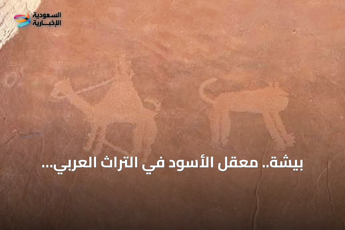 بيشة.. معقل الأسود في التراث العربي الشعري والنقوش الصخرية