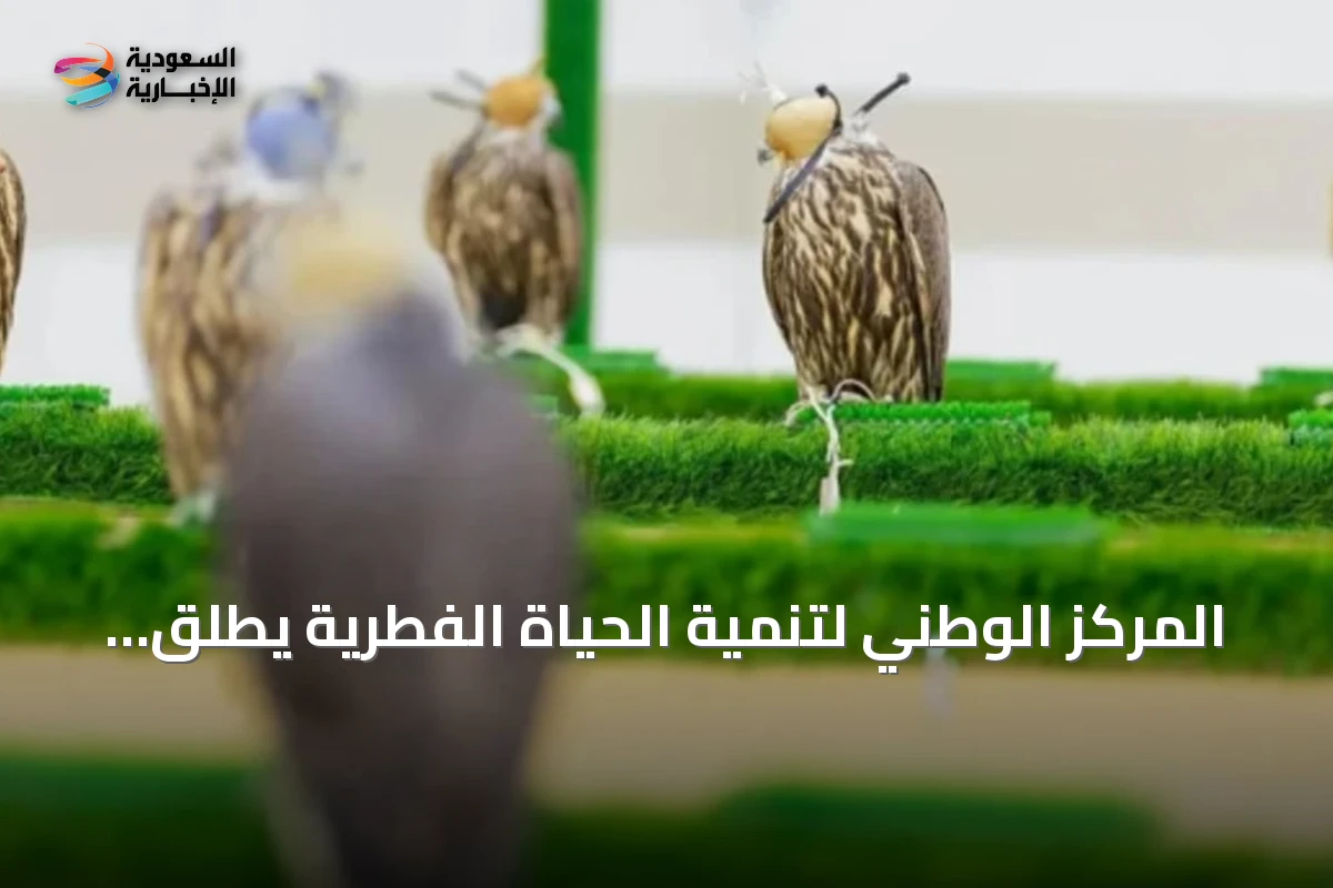 المركز الوطني لتنمية الحياة الفطرية يطلق خدمات بيطرية متكاملة للصقور في المزاد الدولي 2026