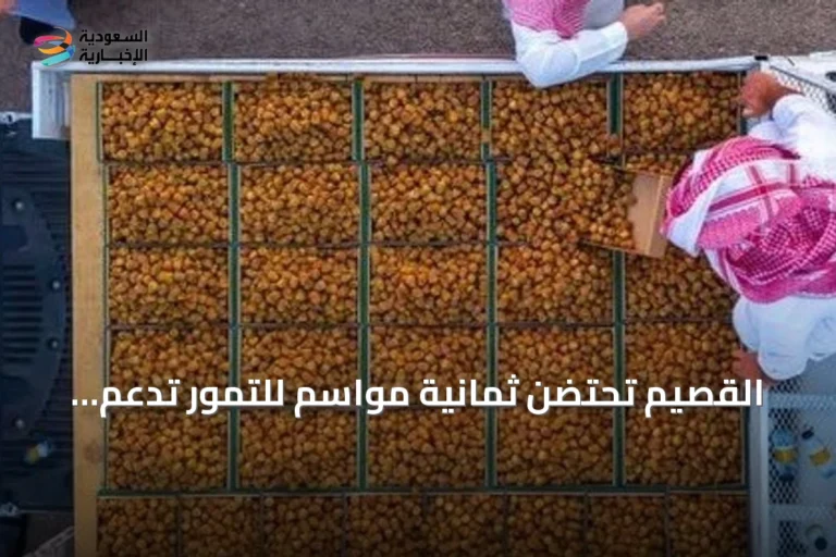 القصيم تحتضن ثمانية مواسم للتمور تدعم الاقتصاد والسياحة بالمنطقة