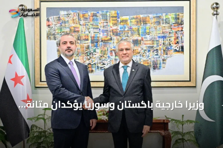 وزيرا خارجية باكستان وسوريا يؤكدان متانة العلاقات الأخوية