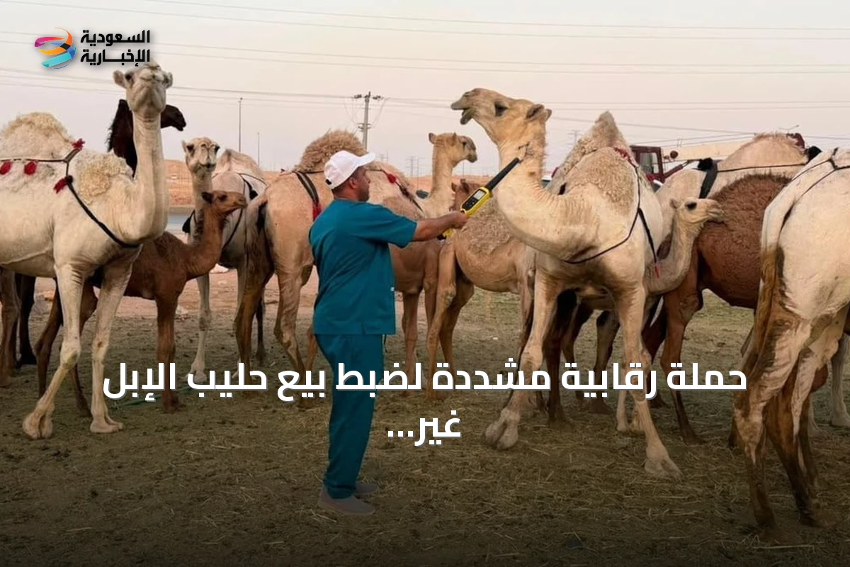 حملة رقابية مشددة لضبط بيع حليب الإبل غير المرخص بالرياض
