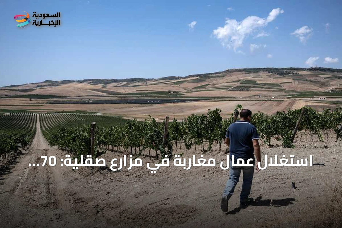 استغلال عمال مغاربة في مزارع صقلية: 70 ساعة عمل أسبوعياً مقابل يورو لكل صندوق