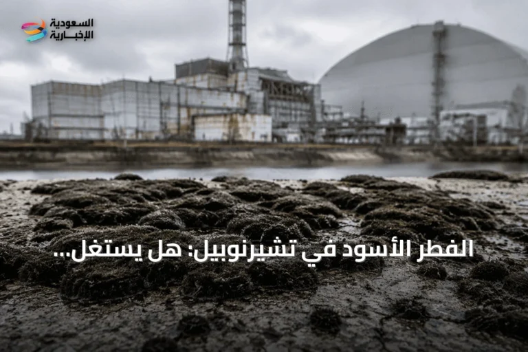 الفطر الأسود في تشيرنوبيل: هل يستغل الإشعاع كمصدر طاقة؟