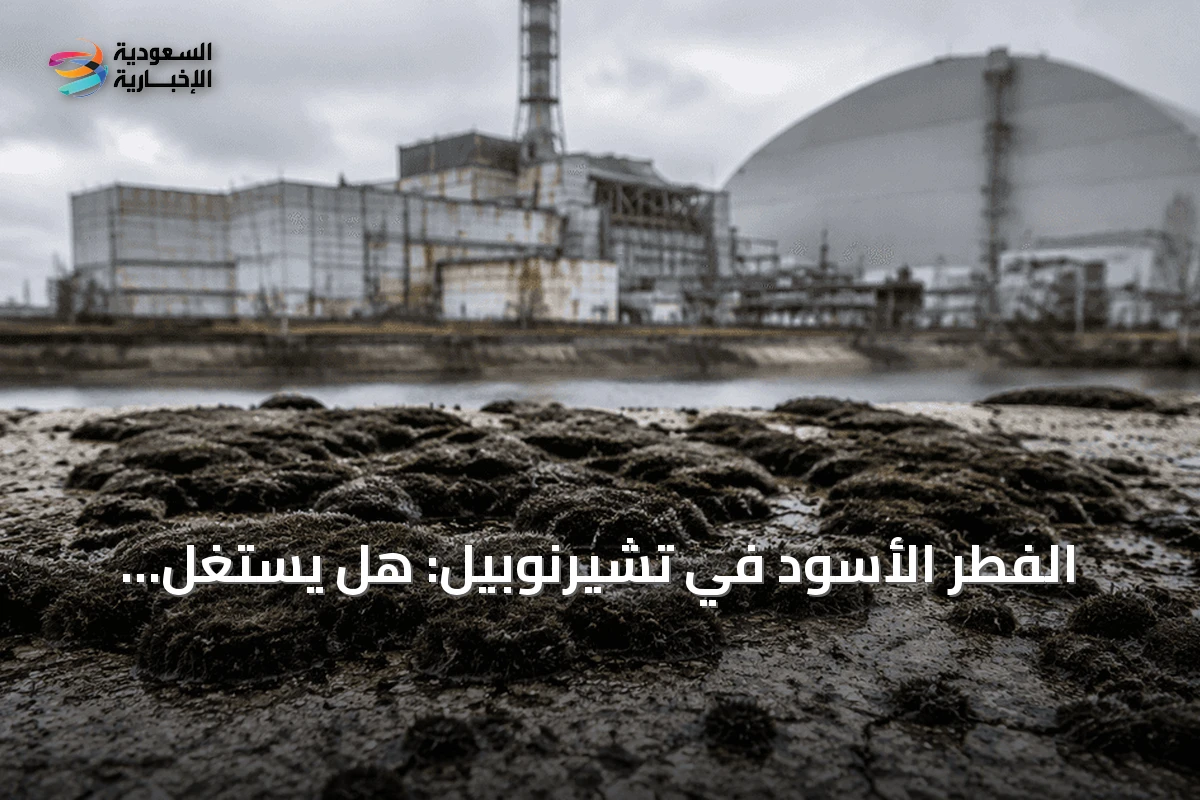 الفطر الأسود في تشيرنوبيل: هل يستغل الإشعاع كمصدر طاقة؟