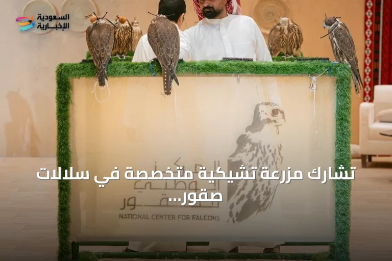 تشارك مزرعة تشيكية متخصصة في سلالات صقور كندية وأمريكية في المزاد الدولي بالرياض